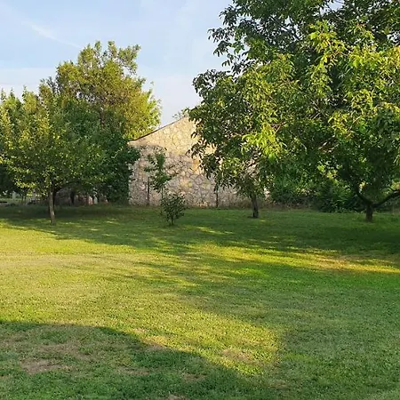 Dalia Apartament *